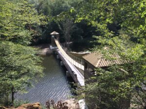 IMG_9337 Bouillon